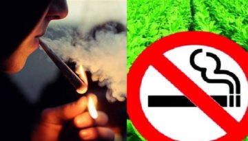 তামাক নিয়ন্ত্রণে মাঠ উন্মুক্ত করে খেলাধুলায় জোর দেওয়ার তাগিদ