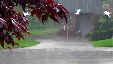 সারা দেশে বৃষ্টির আভাস, কমতে পারে তাপমাত্রা