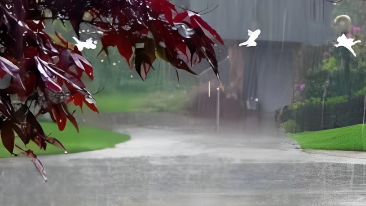 সারা দেশে বৃষ্টির আভাস, কমতে পারে তাপমাত্রা