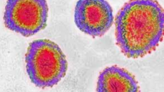 হোয়াইট হাউসের ওয়েবসাইট তথ্য চীন থেকে ছড়িয়েছে কোভিড