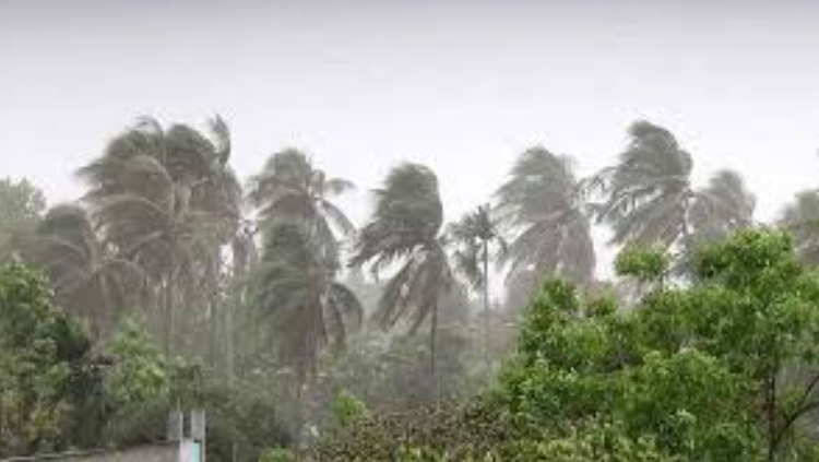 রাজধানীসহ ৯ জেলায় ঝড়-বৃষ্টির আভাস, নৌবন্দরে সতর্ক সংকেত