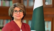 পাকিস্তানের পররাষ্ট্রসচিব ১৫ বছর পর আমনা বালুচ ঢাকায়