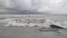 বঙ্গোপসাগরে লঘুচাপ রুপ নিতে পারে নিম্নচাপে