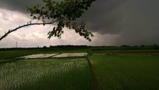 ঢাকাসহ ১৬ জেলায় ঝড়-বৃষ্টির পূর্বাভাস