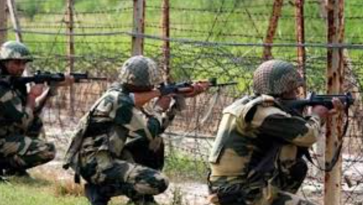 মহেশপুর সীমান্তে বিএসএফের গুলিতে বাংলাদেশি ২ যুবক নিহত