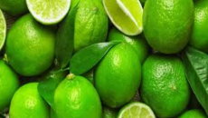 আগের মতোই চড়া দামে বিক্রি হচ্ছে লেবু