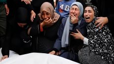 গাজায় ইসরায়েলি হামলায় আরও ২৪ জন নিহত