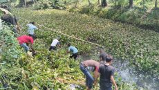 লাকসাম জলাবদ্ধতা-বন্যার ভয়াবহতা রোধে উপজেলা প্রশাসনের ব্যতিক্রমী উদ্যোগ