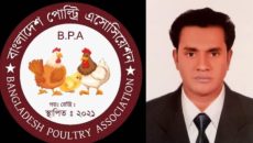 পোল্ট্রি খাতে অপূরণীয় ক্ষতি; আসন্ন বাজেটে প্রান্তিক খামারিদের জন্য উন্নয়ন বরাদ্দের সুপারিশ বিপিএ’র