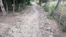 সোনাইমুড়ী পৌরসভার সড়ক সংস্কারে অনিয়মের অভিযোগ