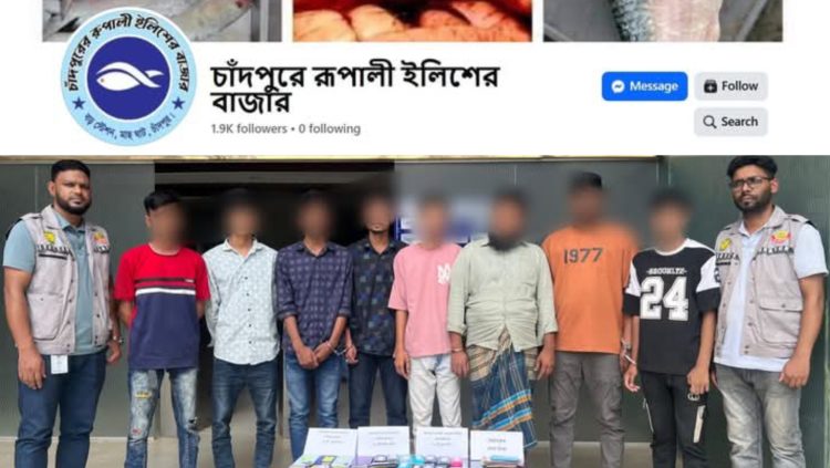 অনলাইনে ‘চাঁদপুরের তাজা ইলিশ বিক্রি’র ফাঁদ, ডিবির জালে ধরা ৮