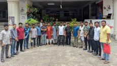 জবি ছাত্রদলের বৃক্ষরোপণ কর্মসূচি