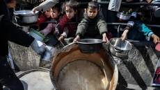 গাজায় ‌ক্ষুধায় ২৯ জনের মৃত্যু