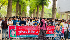 বর্বর রাজনীতি রাবিতে আবার শুরু হয় কিনা, সেই আতঙ্কে আছে শিক্ষার্থীরা: রাবি ছাত্রদল আহ্বায়