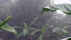 তিন বিভাগে বৃষ্টির পূর্বাভাস, বাড়তে পারে তাপমাত্রা