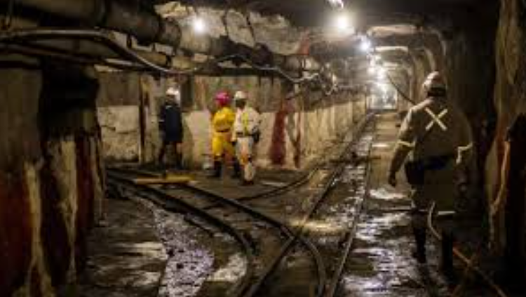 দক্ষিণ আফ্রিকায় স্বর্ণের খনিতে আটকা ২৮৯ শ্রমিকের সবাই উদ্ধার