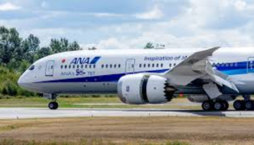 উড়ন্ত বিমানের দরজা খোলার চেষ্টা, যাত্রী আটক