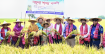 রাজশাহীর গোদাগাড়ীতে জেলা প্রশাসকের ব্যস্ততম একদিন