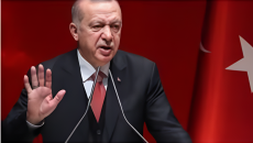 নিজ দেশকে প্রশংসায় ভাসালেন এরদোগান