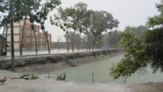 সাতক্ষীরায় গত একদিনে ৫৮ মিলিমিটার বৃষ্টি