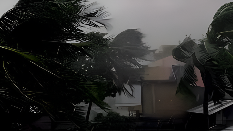 দুপুরের মধ্যে ১৬ জেলায় ঝড়-বৃষ্টির পূর্বাভাস