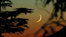 চাঁদ দেখা গেছে, ঈদুল আজহা ৭ জুন