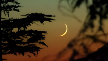 চাঁদ দেখা গেছে, ঈদুল আজহা ৭ জুন