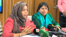 রাজশাহীতে ১৫ মে থেকে আম পাড়া শুরু