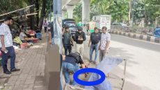 ঢাবি ও হাইকোর্ট এলাকায় পড়ে থাকা ৭টি ককটেল উদ্ধার, তদন্তে পুলিশ