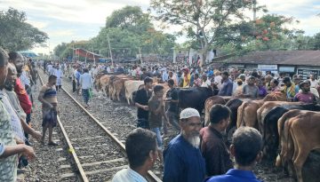 রেললাইনের ওপর ঝুঁকিপূর্ণ কোরবানি পশুর হাট