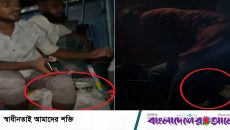 বরিশালে জব্দকৃত ইলিশ বিতরণ নিয়ে বিতর্ক, প্রশ্ন উঠেছে স্বচ্ছতা নিয়ে