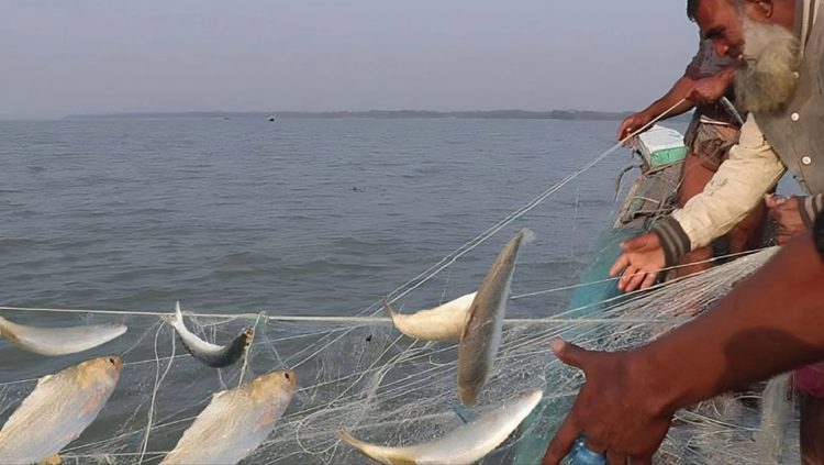 নিষেধাজ্ঞা পেরিয়ে জেলেদের নৌকা এবার গভীর সমুদ্রে