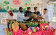 চাঁদপুর জেলা কারাগারে মৌসুমি ফল উৎসব, ৮১৭ বন্দির মুখে হাসি