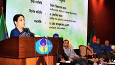 দেশের ১৮ কোটি মানুষেরই পরিবেশ সচেতন হওয়া জরুরি: উপদেষ্টা সৈয়দা রিজওয়ানা হাসান