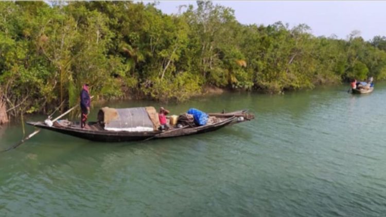 আজ থেকে তিন মাসের জন্য বন্ধ সুন্দরবনের দ্বার