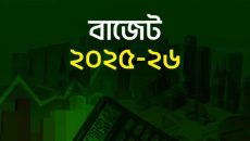 জলবায়ু পরিবর্তন মোকাবিলায় বাজেটে বরাদ্দ ১০০ কোটি
