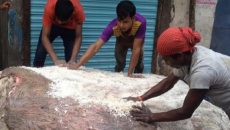 চট্টগ্রাম বিভাগে সংরক্ষণ করা হয়েছে সাত লাখ চুয়াত্তর হাজার চামড়া