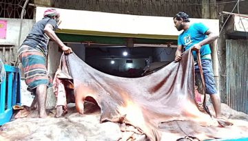 আড়তে কোরবানির চামড়া, নষ্ট কম হলেও দাম নিয়ে হতাশা