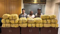 বনানীতে ডিবির অভিযানে ৯৯ কেজি গাঁজাসহ মাদক কারবারি গ্রেফতার