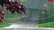 রাতের মধ্যে দেশের ১০ অঞ্চলে ঝড়ের আভাস