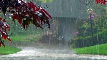 রাতের মধ্যে দেশের ১০ অঞ্চলে ঝড়ের আভাস