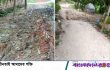 বড়াইগ্রামে রাস্তা নিয়ে সংঘর্ষে এনসিপি নেতাসহ আহত ৬