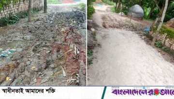 বড়াইগ্রামে রাস্তা নিয়ে সংঘর্ষে এনসিপি নেতাসহ আহত ৬