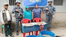 কয়রায় নৌবাহিনীর অভিযানে জেলি পুশ করা ৬০ কেজি চিংড়ি আটক