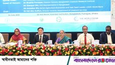 গ্রিনহাউস গ্যাস নির্গমনে বাংলাদেশের ক্ষতি সর্বাধিক: ফরিদা আখতার