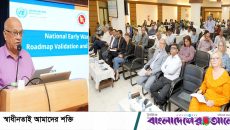 শুধু কর্মসূচি নয়, একটি জাতীয় অগ্রযাত্রা: দুর্যোগ উপদেষ্টা