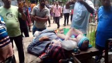 নড়াইলে সড়ক দুর্ঘটনায় দম্পতির মৃত্যু