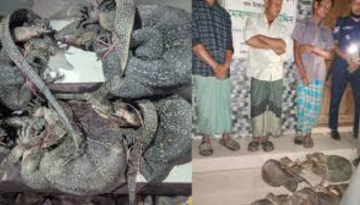 চট্টগ্রামে ৫ গুইসাপ উদ্ধার, ১০ হাজার টাকা জরিমানা