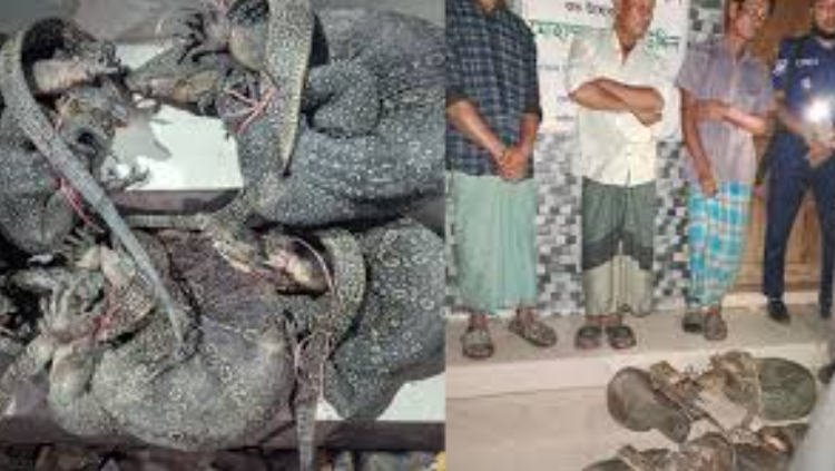 চট্টগ্রামে ৫ গুইসাপ উদ্ধার, ১০ হাজার টাকা জরিমানা
