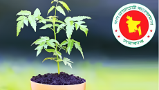 বৃক্ষরোপণে জাতীয় পুরস্কার পাচ্ছেন ২১ ব্যক্তি ও প্রতিষ্ঠান